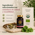 IXCHEL YAAX